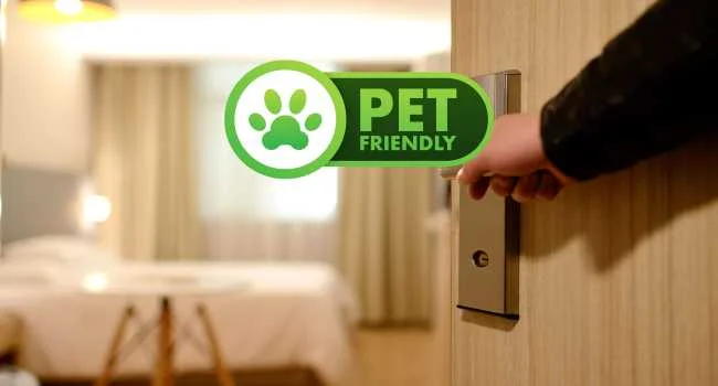 CAMPINAS HOTEL, HOTEIS EM CAMPINAS, HOTEIS COM PET FRIENDLY EM CAMPINAS