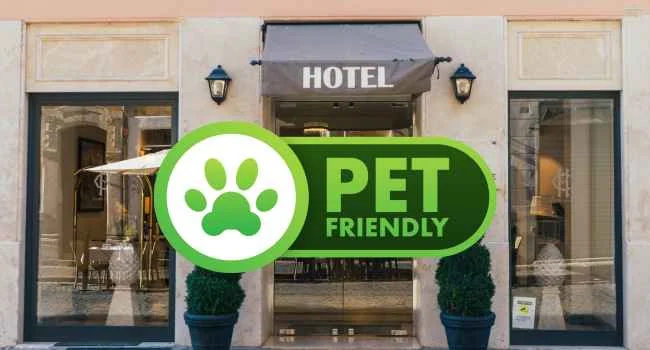 HOTEIS PET FRIENDLY, HOTELS PET FRIENDLY, HOTELES PET FRIENDLY, MELHORES HOTEIS, PET FRIENDLY