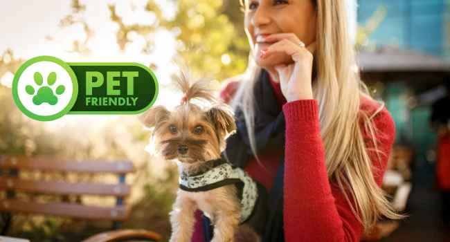 PET FRIENDLY ZONA NORTE, RESTAURANTES PET FRIENDLY, MELHORES RESTAURANTES