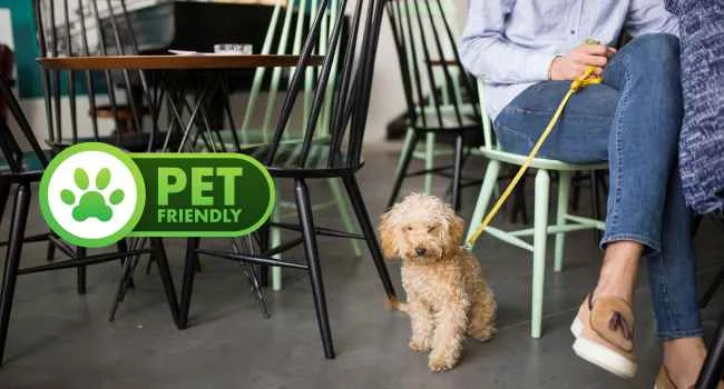 RESTAURANTES PET FRIENDLY NOVA IGUAÇU, PET FRIENDLY, MELHORES RESTAURANTES