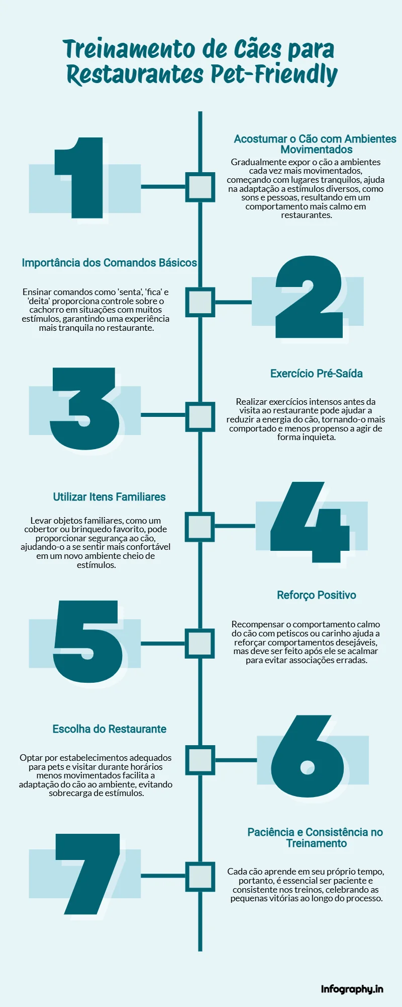 COMO ENSINAR O CACHORRO A SE COMPORTAR, COMO TREINAR O CACHORRO, INFOGRAFICO